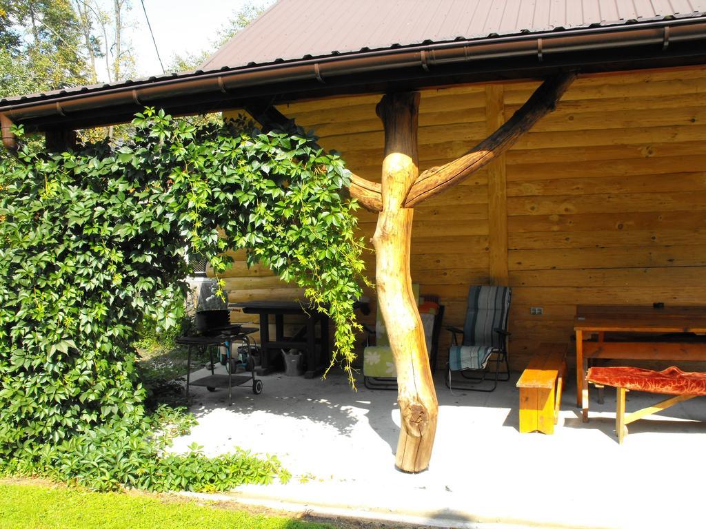 Noclegi U Brody Hoczew Exterior foto